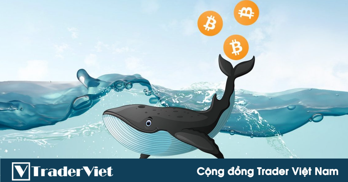 Sự quan tâm đến Bitcoin đang giảm vào thời điểm thị trường altcoin khởi sắc, nhưng cá voi vẫn tiếp tục tích lũy