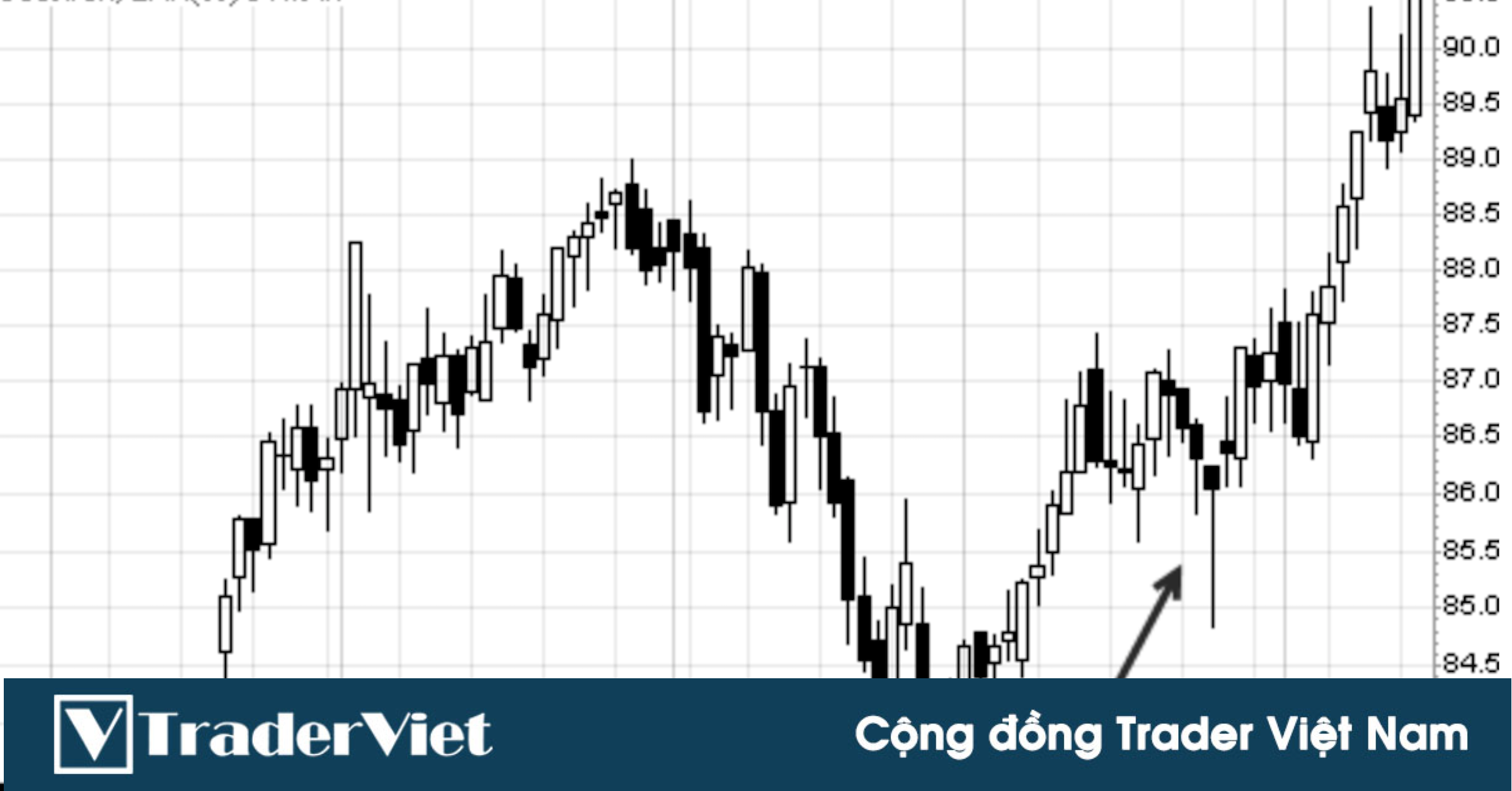 Swing Trading chuyên sâu - Bài 8: Giao dịch nến Doji và Hammer kiểu Pro Swing Trader