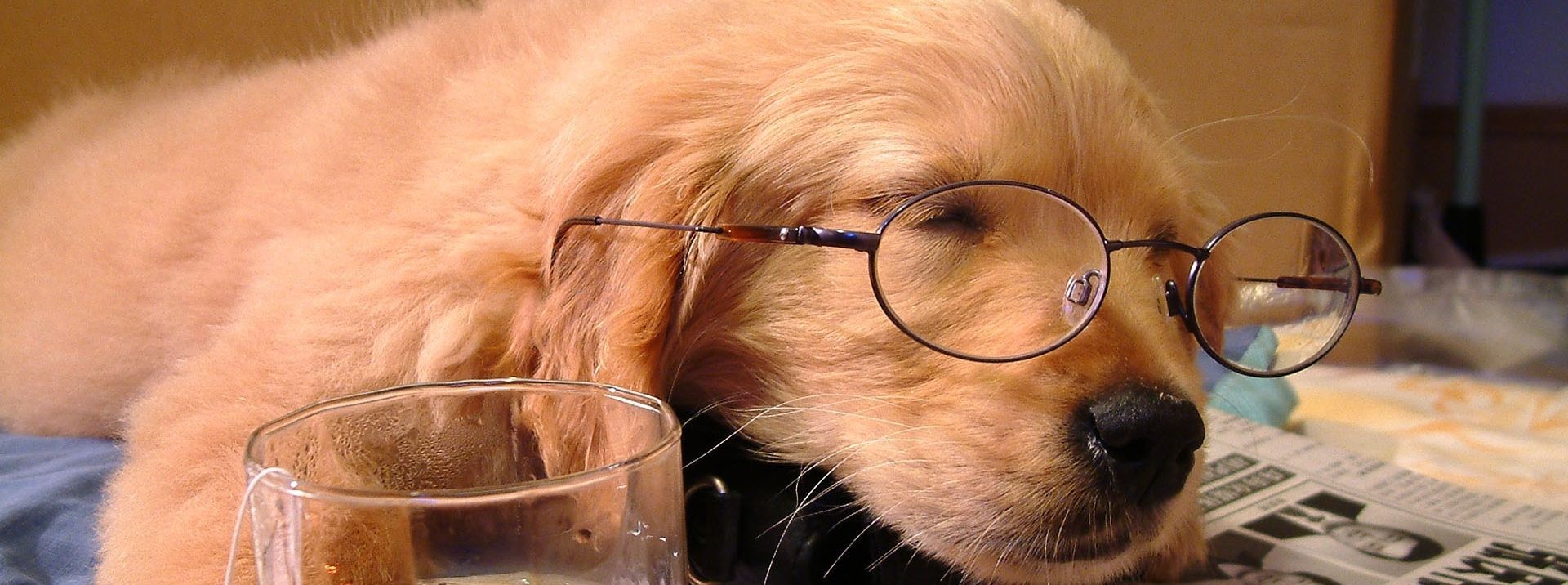 Bạn bị Overtrading? Đừng lo, hãy thử cách này!