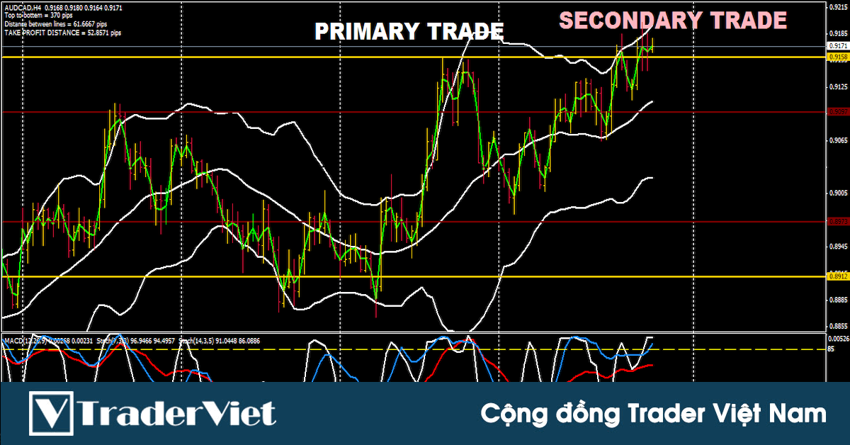 Hệ thống giao dịch thắng 10 tháng trong 1 năm kiếm về 20,000 pip lợi nhuận trên Forex Factory