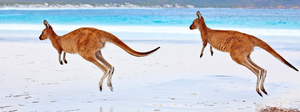 Phân tích AUDUSD ngày 08/06 - Mô hình đẹp liệu có đảo chiều?