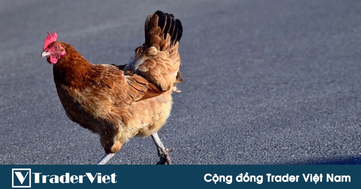 Cận cảnh giờ học của hội “tỷ phú tương lai” gây choáng