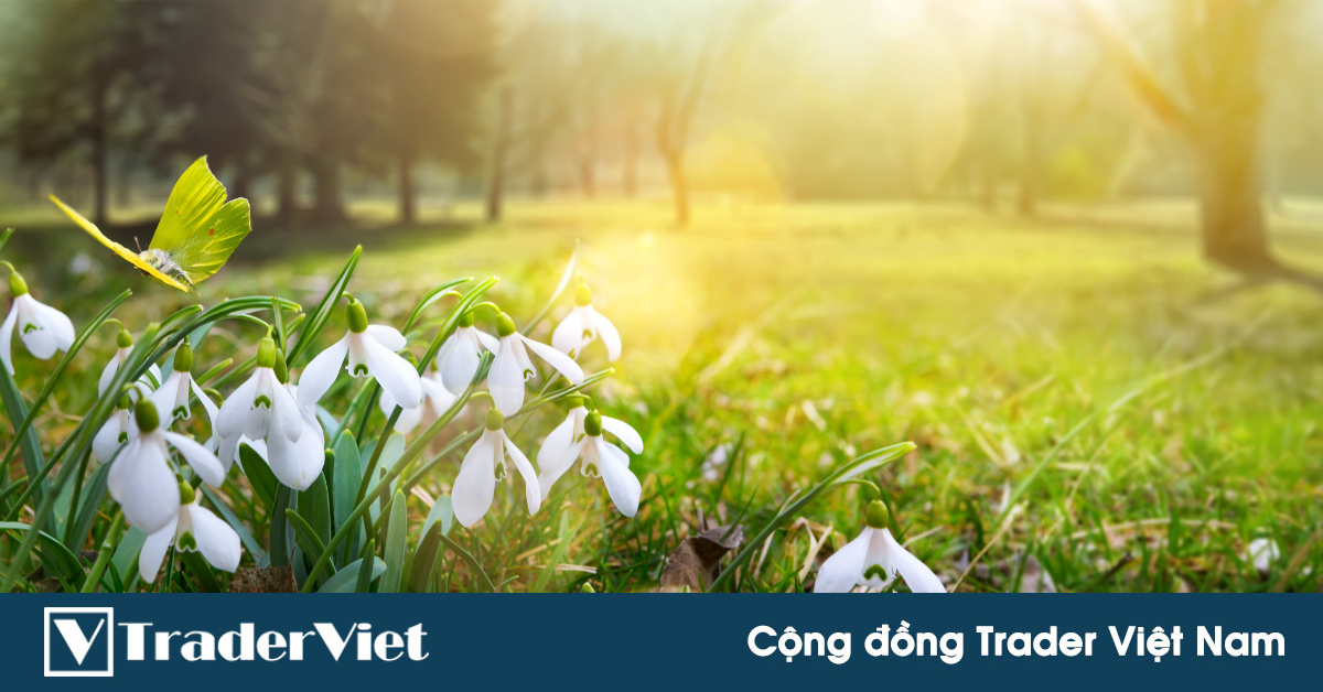 Phân tích chu kỳ thị trường cho tháng Tư: Tháng của sự Tái sinh!