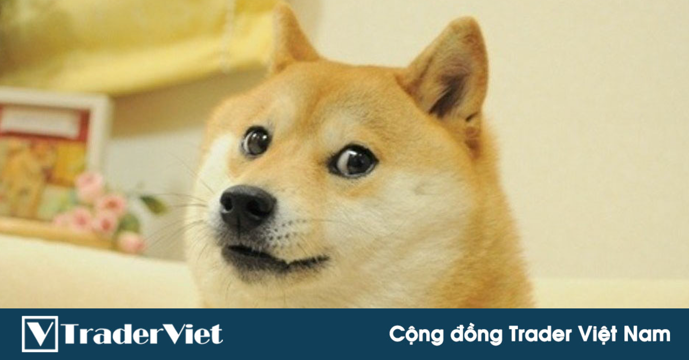 Phân tích Vàng & Forex theo Price Action - 12/4: Vàng quá khó lường