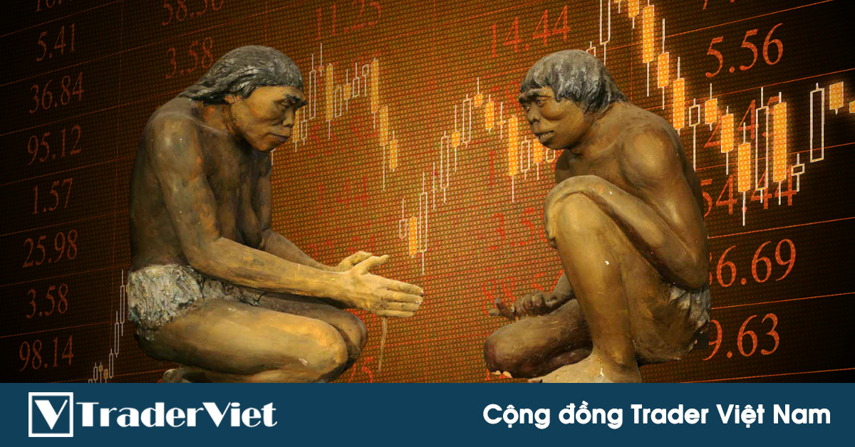 Lý do tại sao trader không thể "cắt lỗ và để lợi nhuận chạy" là gì?