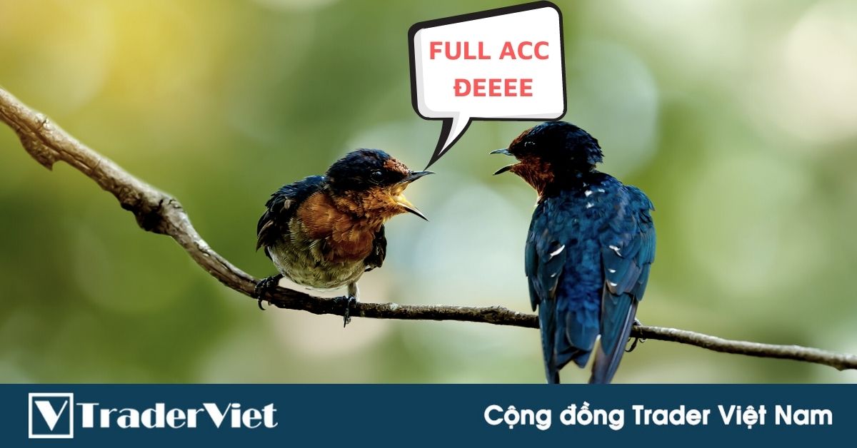 (Trader chia sẻ) Cái gì là cần thiết nhất khi bước vào nghề Trading?