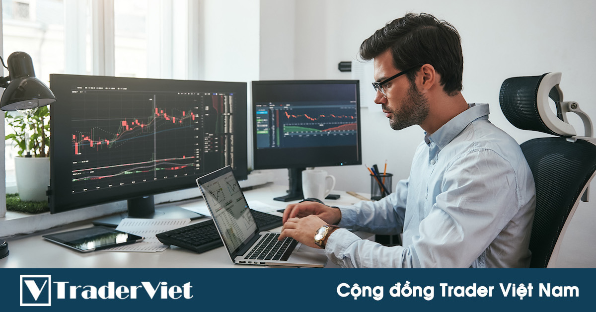 5 Nguyên tắc vàng để trader thoát kiếp NEWBIE!
