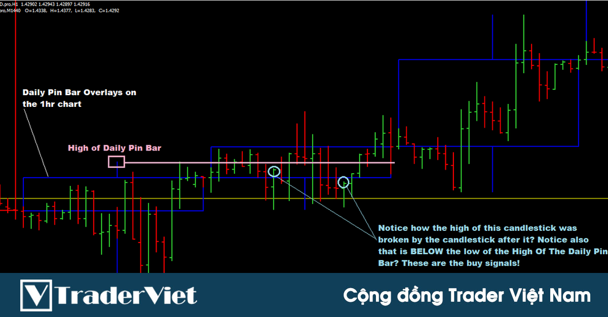 Chiến lược giao dịch đa khung thời gian với nến pinbar khung D1 tiềm năng lợi nhuận hơn 100 pip trở lên