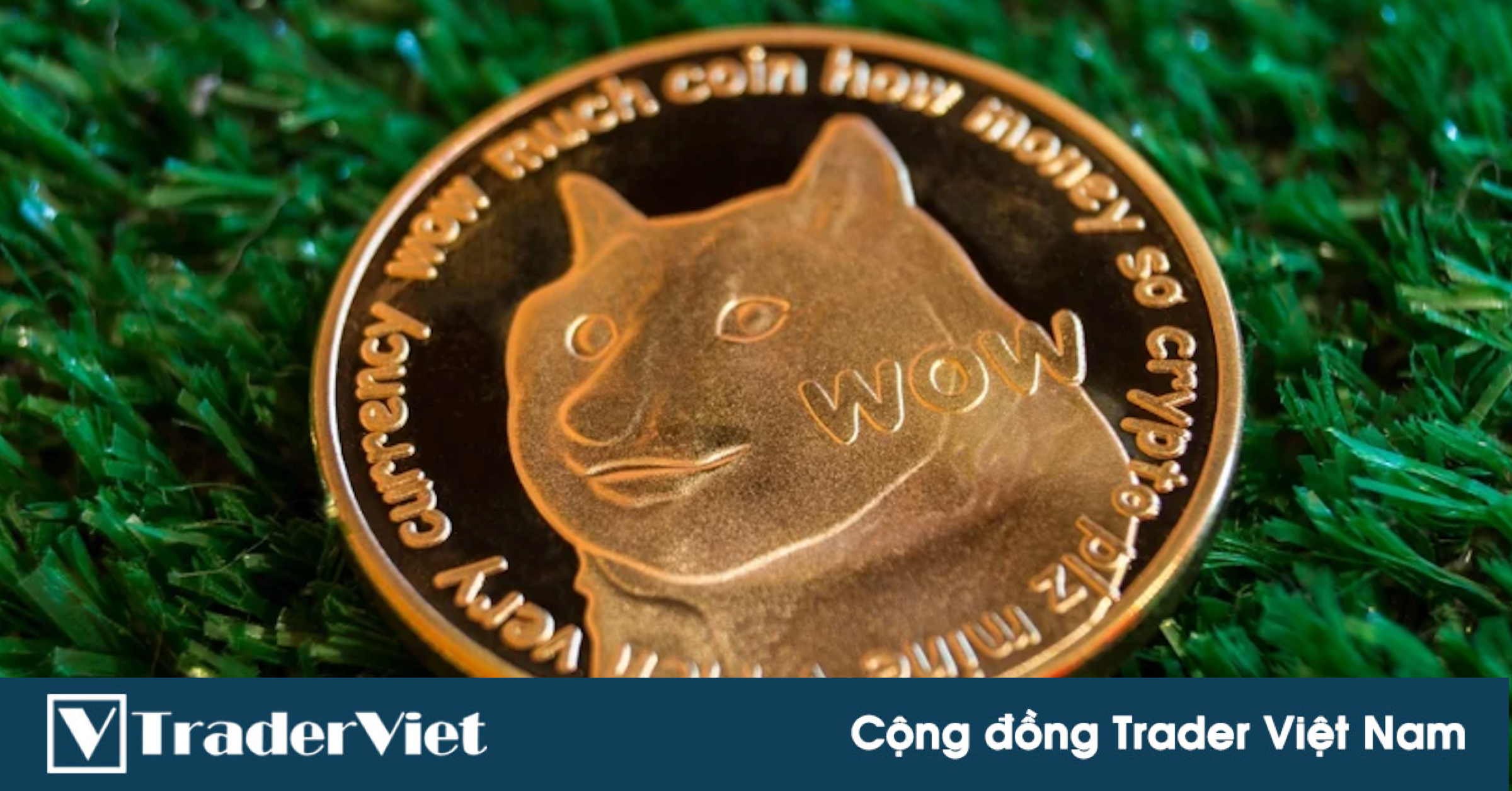 CEO Coinbase: "Chúng tôi có thể niêm yết DOGE trong 6 đến 8 tuần tới"