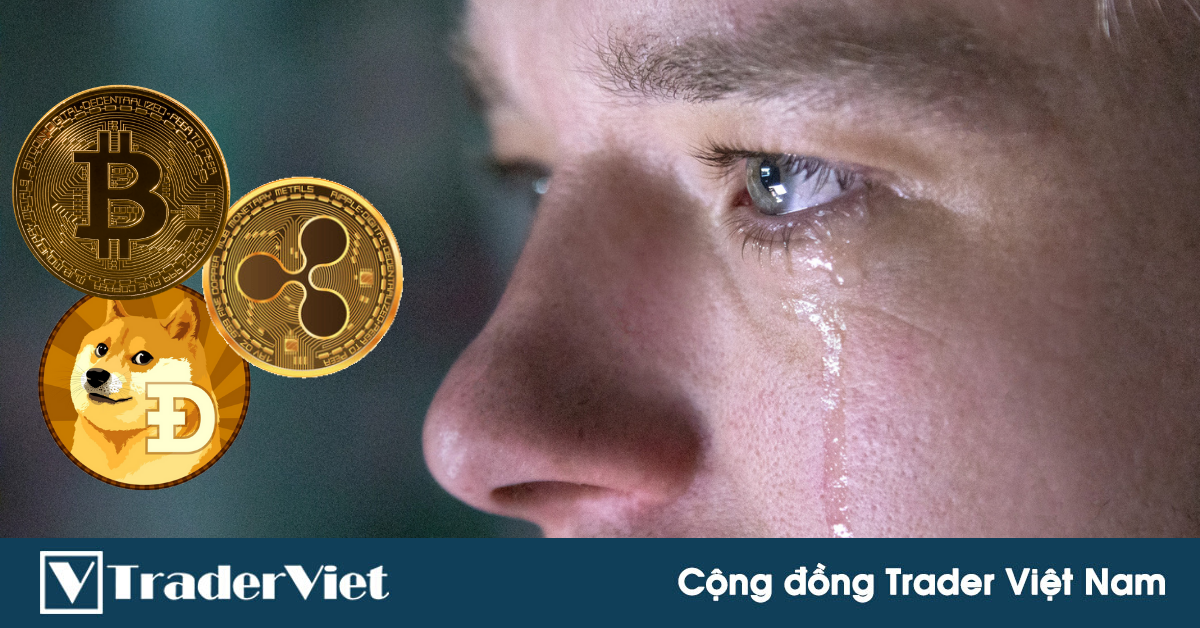 Điểm nóng MXH ngày 18/05 - Cộng đồng Trader Việt Nam: Nhớ lắm quên sao được một mùa "pump and dump"
