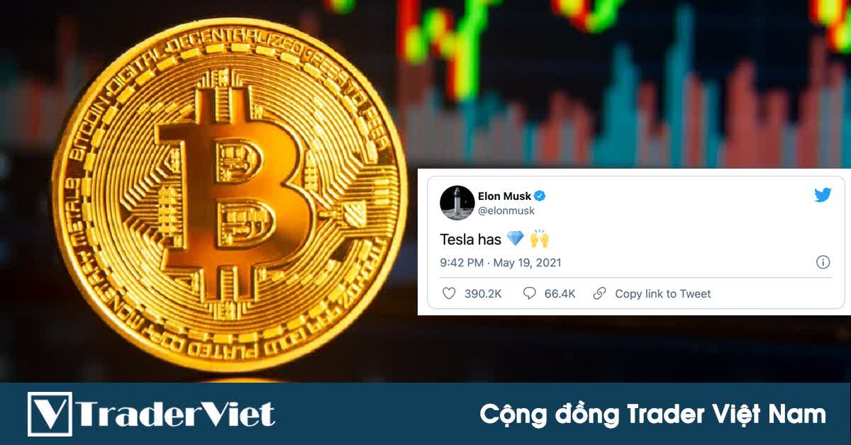 Tin nóng tài chính đầu ngày 20/05 - Sự dao dộng giá cực mạnh của Bitcoin khiến các sàn giao dịch crypto lớn ngừng hoạt động