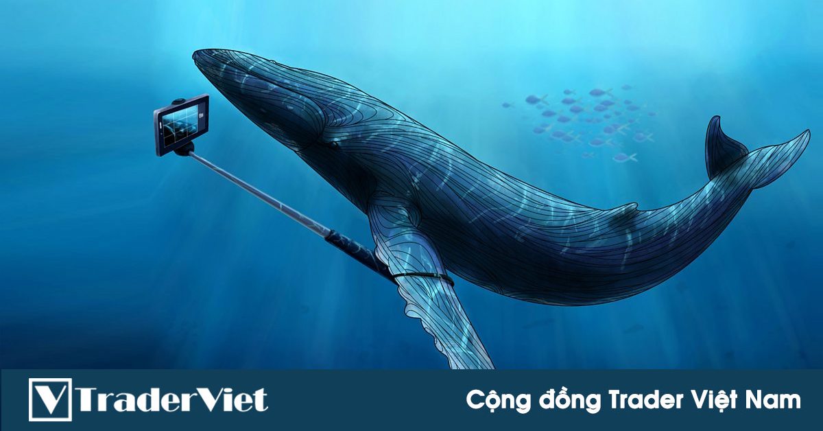 Trader nhỏ lẻ có thể theo chân dòng tiền thông minh bằng những cách nào?