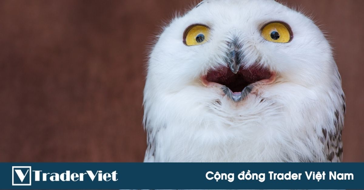 (Việt Nam) Nhà “môi giới tài chính kỳ tài" lĩnh án