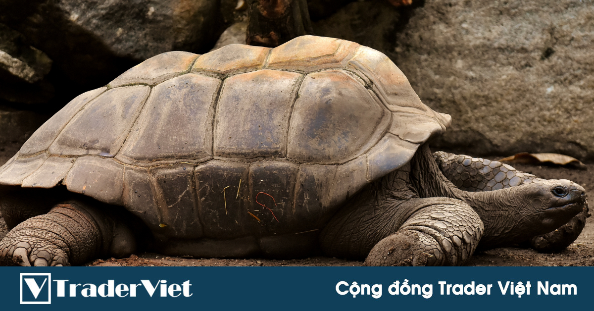 Nhận định thị trường crypto phiên 25/05: Chưa có gì phải vội!