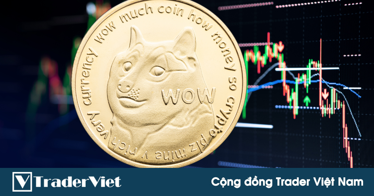 DOGECOIN được bơm thổi như thế nào?