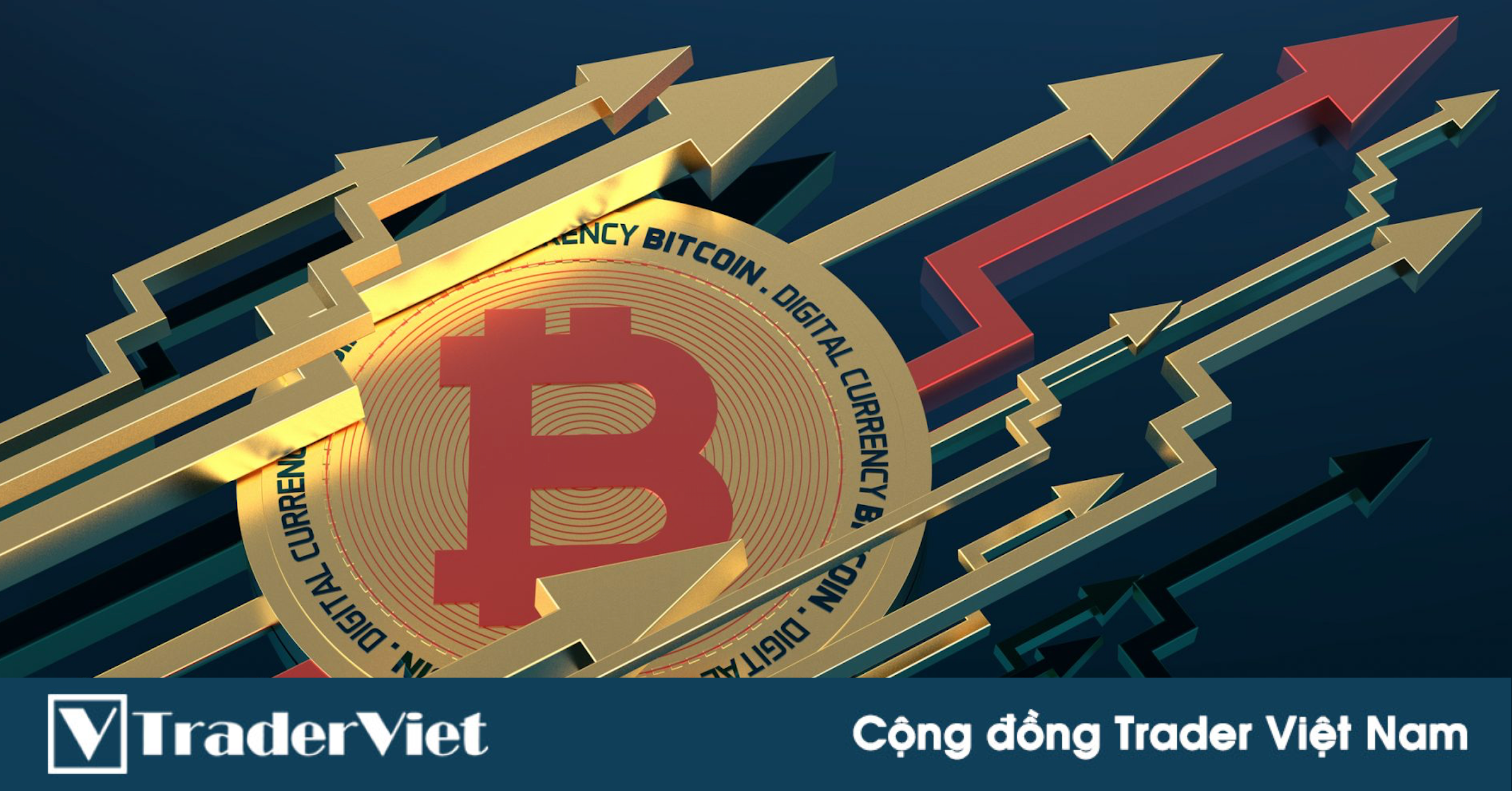 CIO Guggenheim: "Bitcoin vẫn chưa chạm đáy và sẽ có nhiều đợt bán tháo hơn"