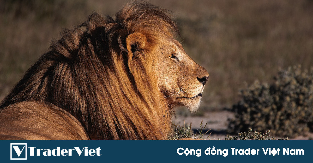 3 việc chứng minh cho trader thấy rõ "sự kiên nhẫn" chính là CHÌA KHÓA THÀNH CÔNG trong trading