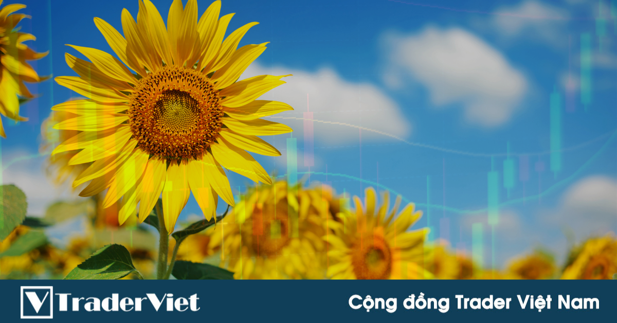 Phân tích chu kỳ thị trường tháng Sáu: Tháng tồi tệ dành cho USD/CHF