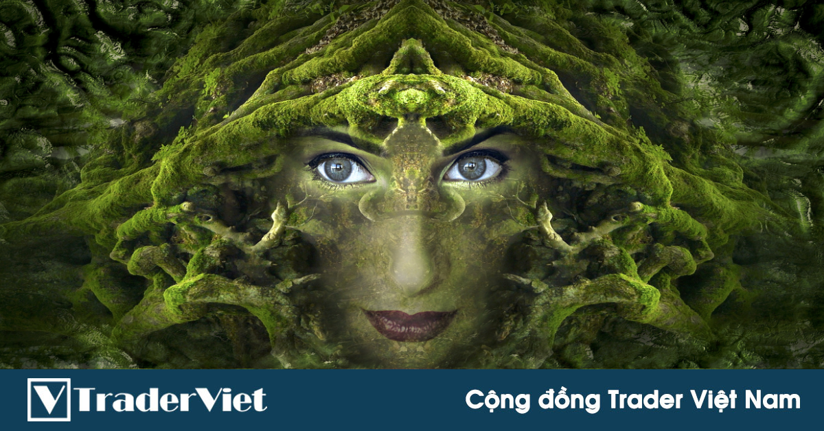 3 lầm tưởng nghiêm trọng nhất trong giao dịch ngoại hối mà một nhà giao dịch có thể mắc phải