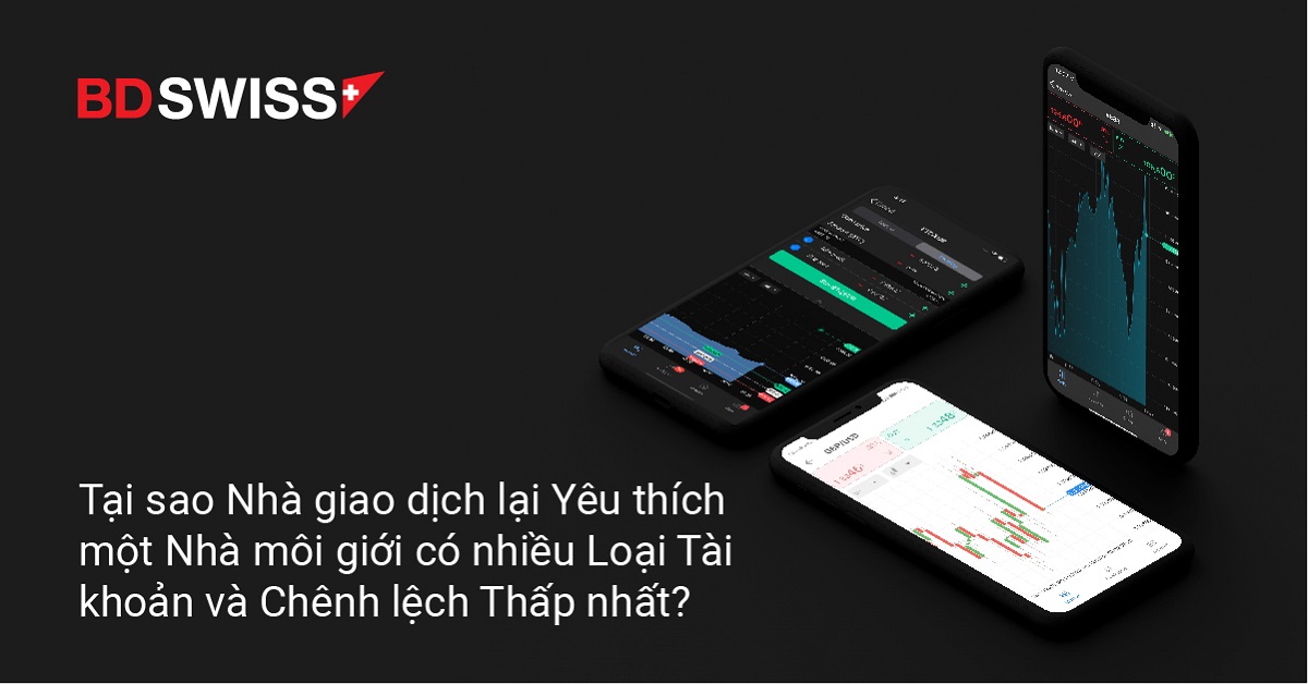 Tại sao Nhà giao dịch lại Yêu thích một Nhà môi giới có nhiều Loại Tài khoản và Chênh lệch Thấp nhất?