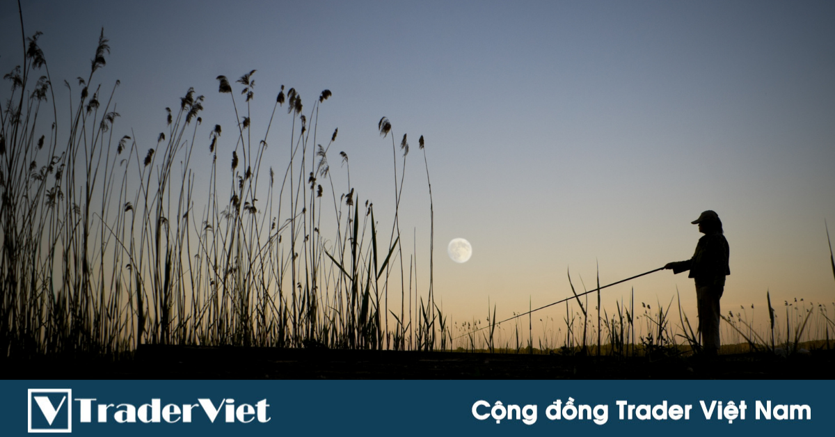 Nhận định thị trường crypto phiên 10/06: Đóng lệnh và chờ!