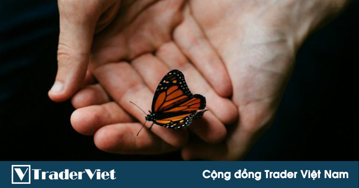 Hiệu ứng cánh bướm ảnh hưởng như thế nào đến lợi nhuận của trader?