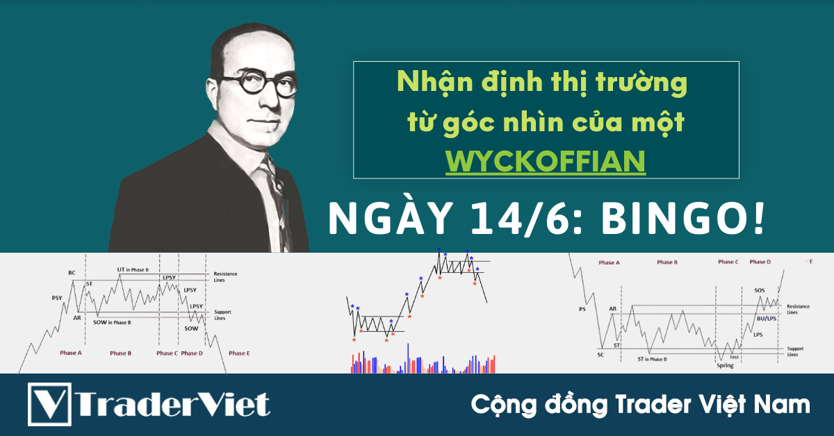 Nhận định Thị Trường dưới góc nhìn của một Wyckoffian - 14/6: Bingo!