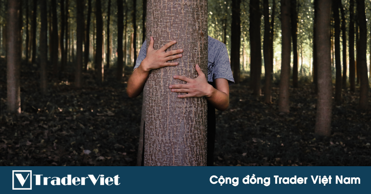 Nhận định thị trường crypto phiên 24/06: Tạm thời án binh!