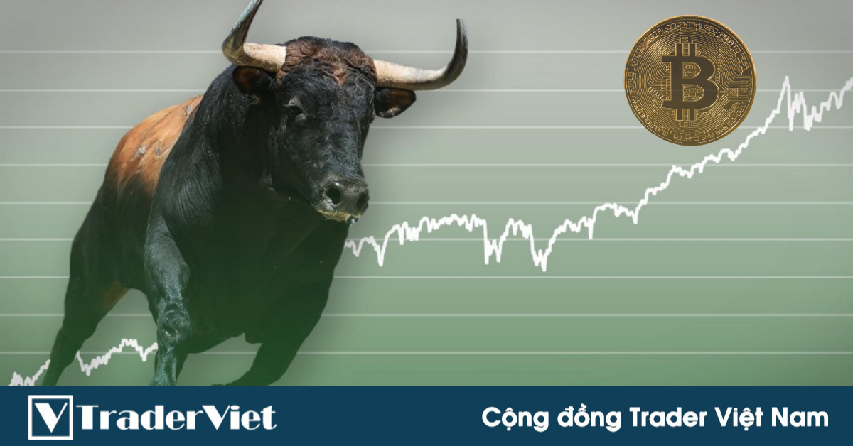 [Bình luận thị trường crypto] Bò sẽ sớm quay trở lại?