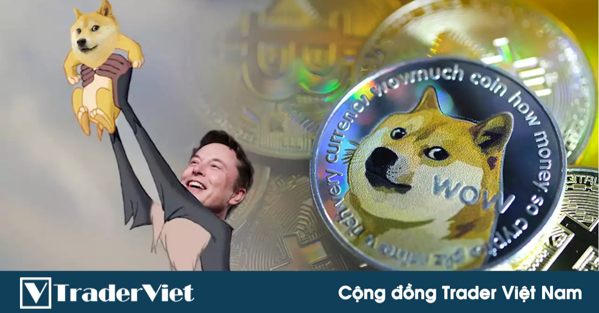 Elon Musk chỉ trích Bitcoin và Ethereum về tốc độ xử lý và phí giao dịch trong khi tâng bốc Dogecoin quá đà