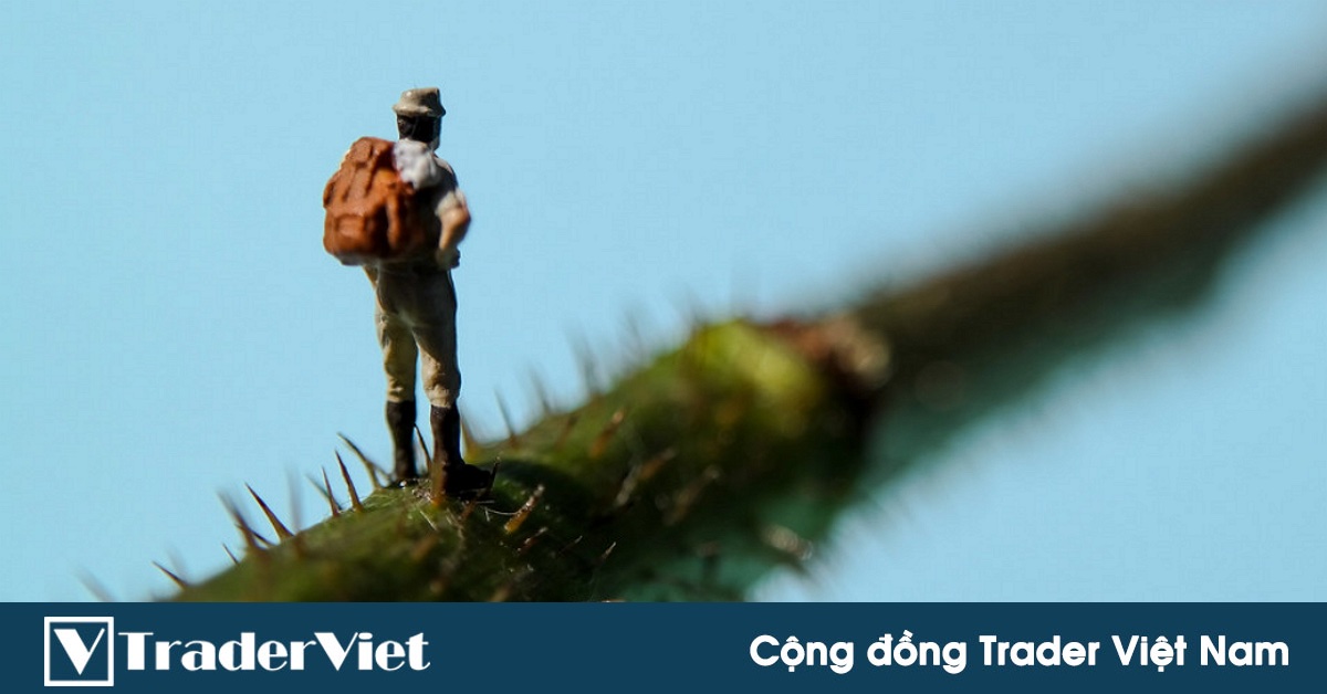 Nền tảng của trading theo Phân tích Kỹ thuật - Nên bắt đầu từ đâu?