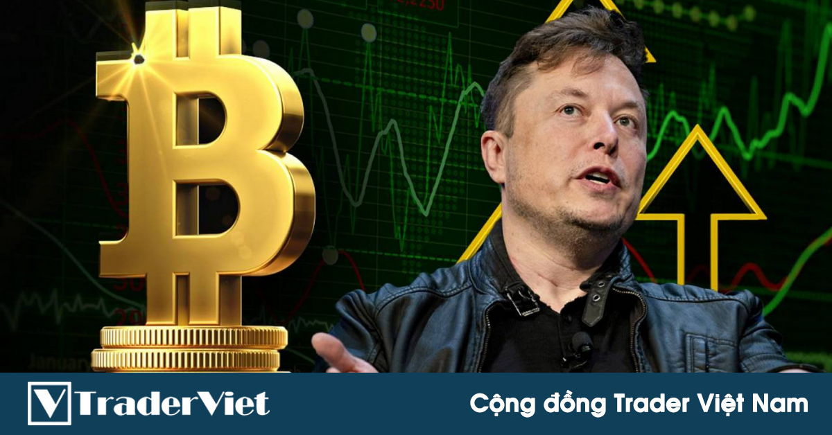 Đây là lý do tại sao quyết định nắm giữ Bitcoin trong dài hạn của Elon Musk là khoản đầu tư hiệu quả