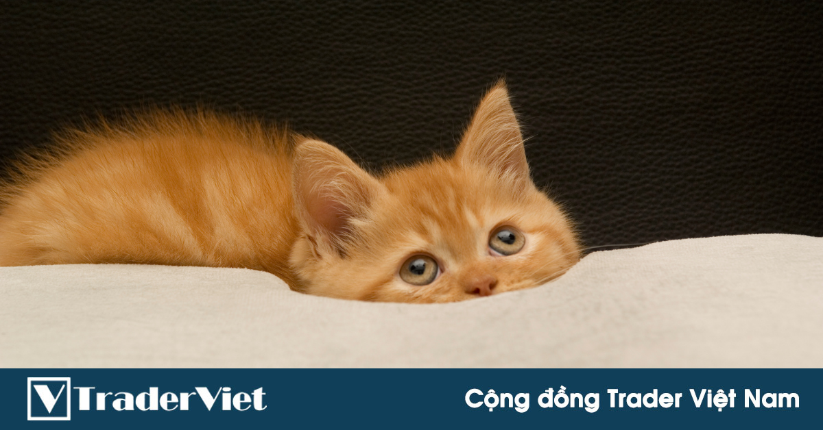 Nhận định thị trường crypto phiên 27/07: Án binh bất động!