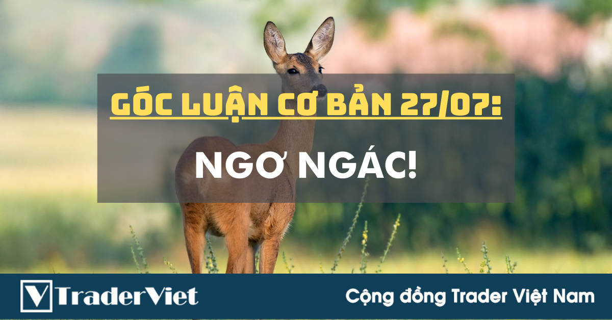 Góc Luận Cơ Bản 29/07: NGƠ NGÁC LUÔN!