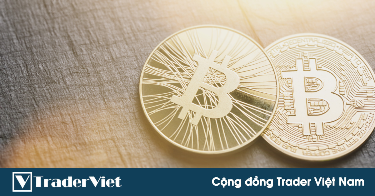 Cá voi thức giấc, nửa triệu Bitcoin được giao dịch trong 24h