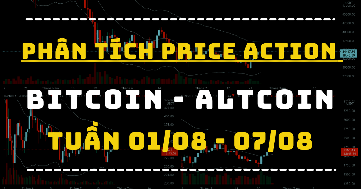 Phân Tích BITCOIN - ALTCOIN Theo Price Action Tuần 01-07/08
