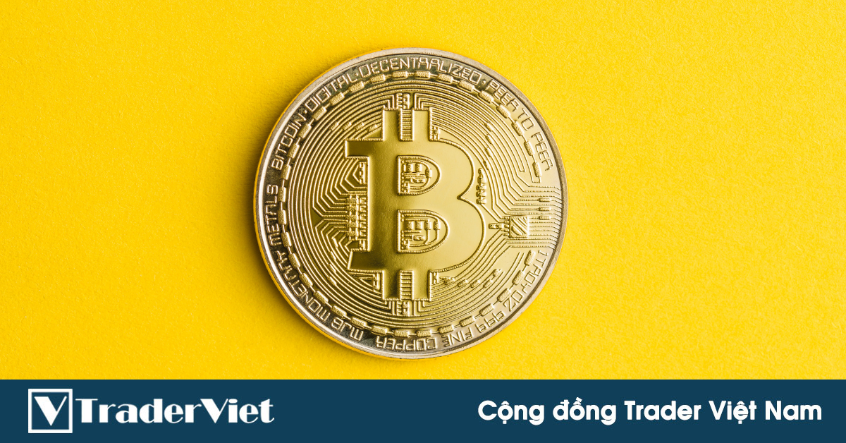Nhận định thị trường crypto phiên 05/08: Một vài phân tích tổng quát