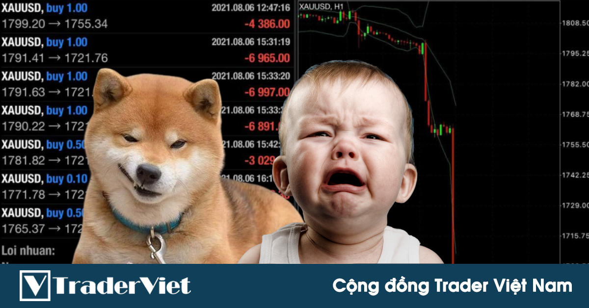 Điểm nóng MXH 09/08 - Cộng đồng Trader Việt Nam: Ai khóc nỗi đau này?
