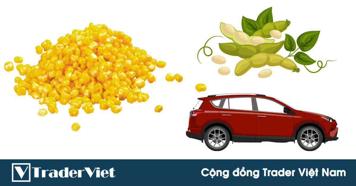 Tesla bán ô tô bằng Bitcoin chỉ là chuyện vặt, Toyota giờ cho khách hàng đổi xe hơi bằng ... ngô hoặc đậu nành