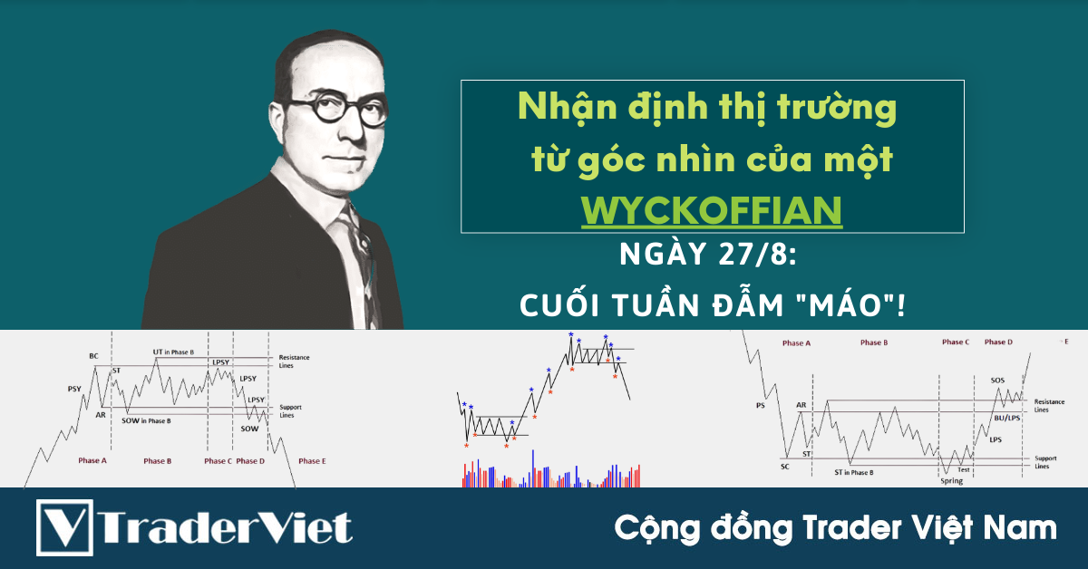 Nhận định Thị Trường dưới góc nhìn của một Wyckoffian - 27/8: Cuối tuần đẫm "máo"!