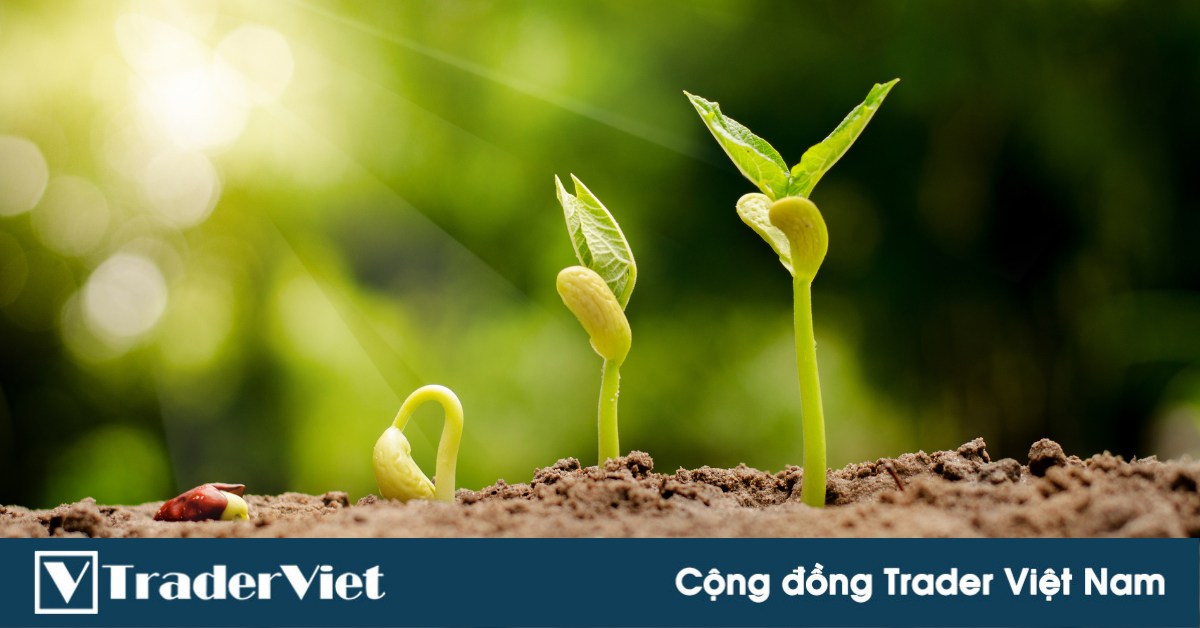 Nhận định thị trường crypto phiên 02/09: Phục hồi triệt để!?