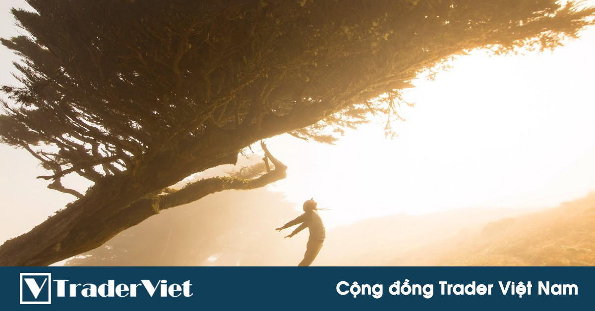 5 việc làm này sẽ giúp trader sớm chạm tới thành công trong trading