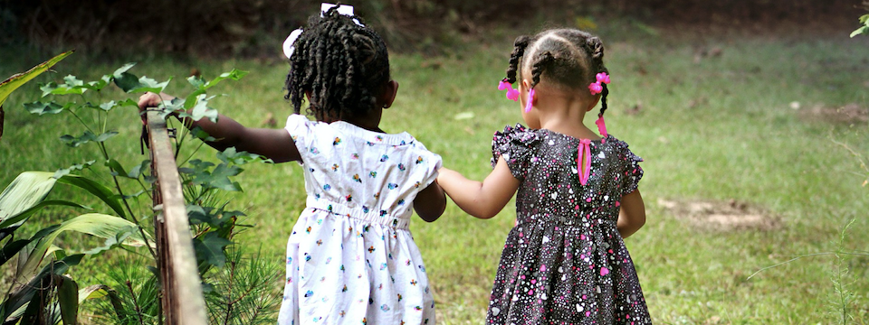 Chỉ báo Moving Average Convergence/Divergence – Bạn đồng hành của đường trung bình động