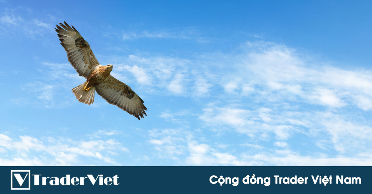 Để trở thành trader thực thụ, hãy thoát ngay lập tức các group bắn tín hiệu