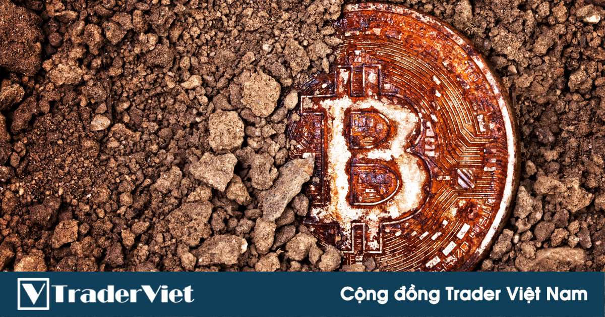 Các ngân hàng trung ương báo động đỏ về khả năng lao dốc của Bitcoin