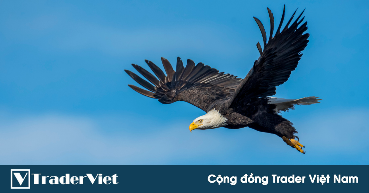 [Trader chia sẻ] Cách làm chủ trading - Phần II