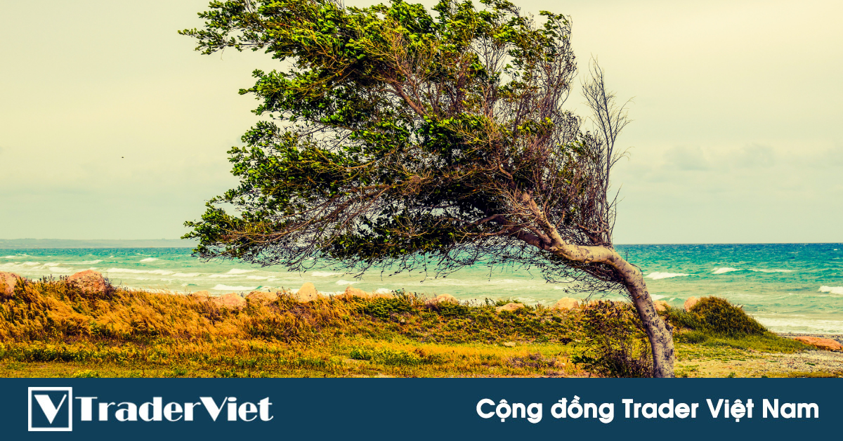 Nhận định thị trường crypto phiên 20/09: Quay xe!