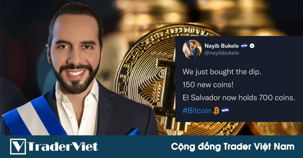 Điểm nóng MXH 20/09 - Cộng đồng Trader Việt Nam: Khi bạn đam mê trade coin nhưng bố mẹ bắt làm tổng thống