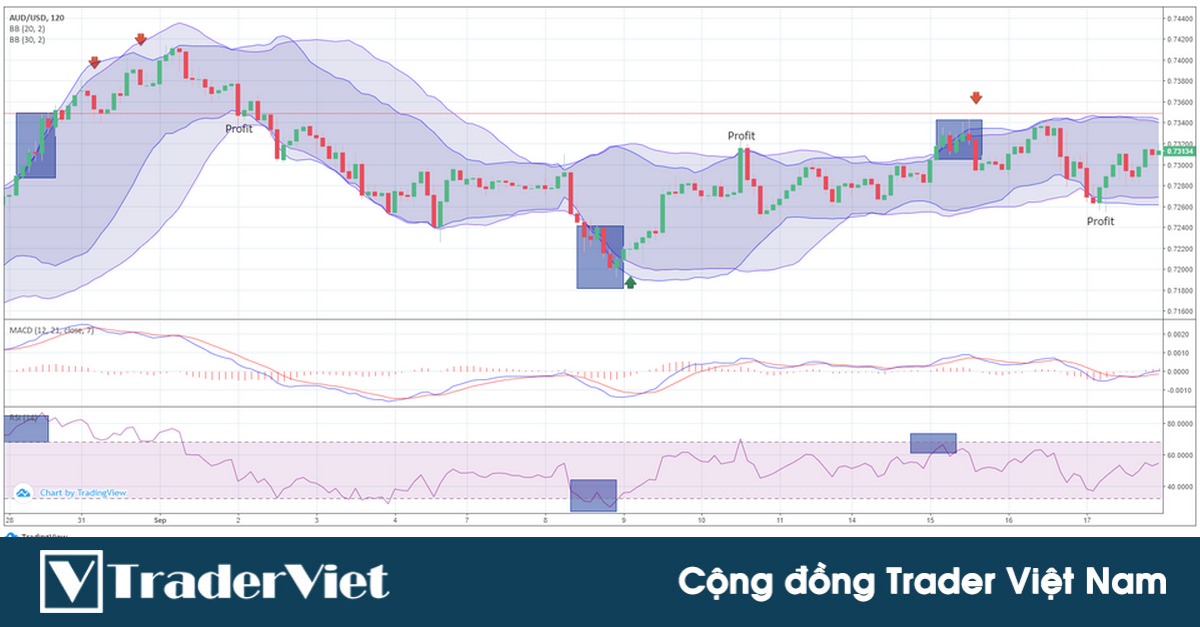 Kiếm lợi nhuận với chiến lược kết hợp Double Bollinger Bands và MACD có tỷ lệ thắng cao