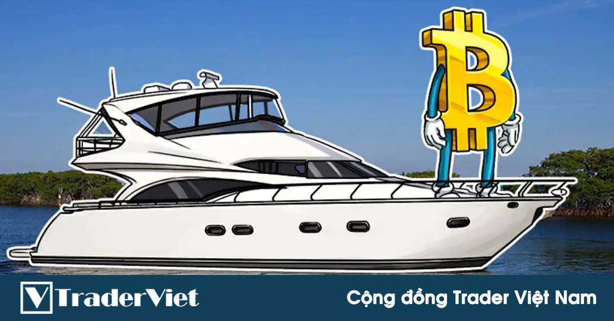 Đầu tư 9,5 triệu đô để mua du thuyền làm trại đào Bitcoin giữa biển, nông dân vỡ mộng vì đời không như mơ